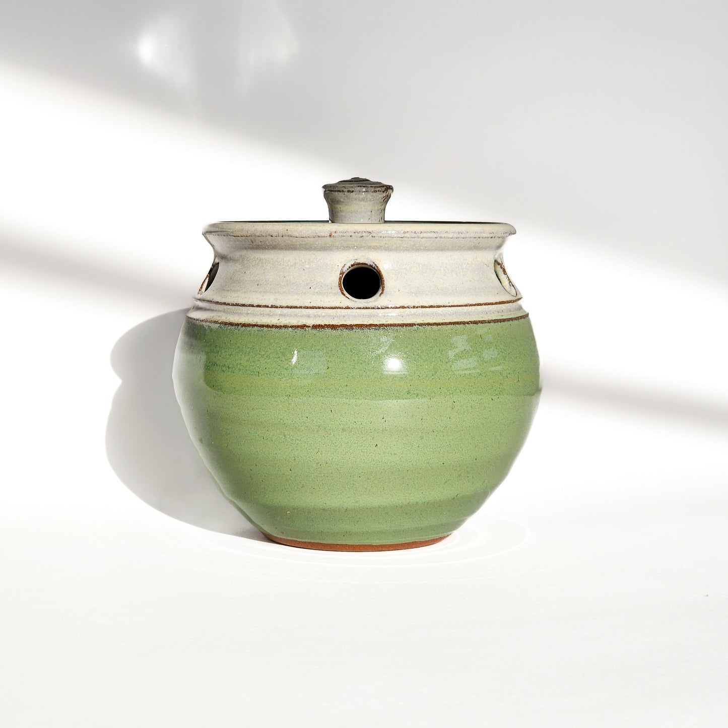 Image: A bud green ceramic garlic keeper, designed to store garlic bulbs and keep them fresh.