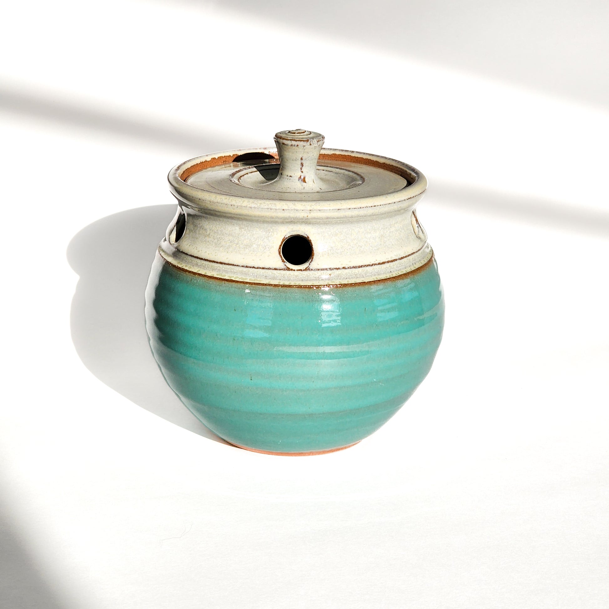 Image: A sky blue ceramic garlic keeper, crafted to store garlic bulbs and enhance kitchen décor with its soothing color.
